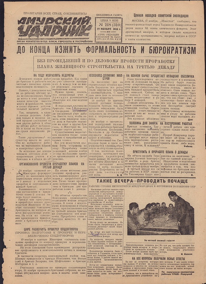Амурский ударник 310