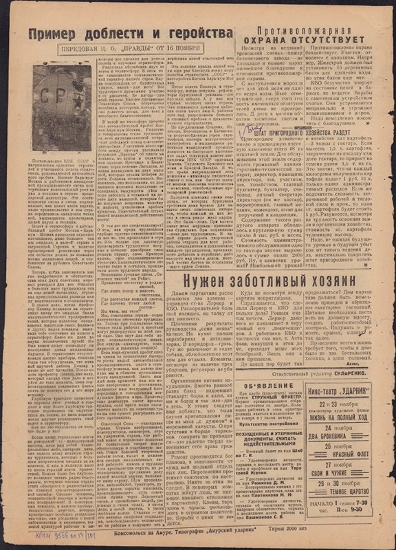 Амурский ударник 310