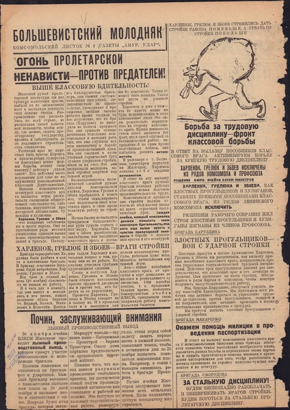 Амурский ударник 312