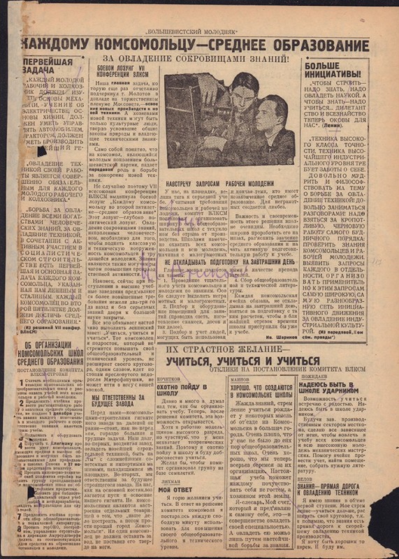 Амурский ударник 312