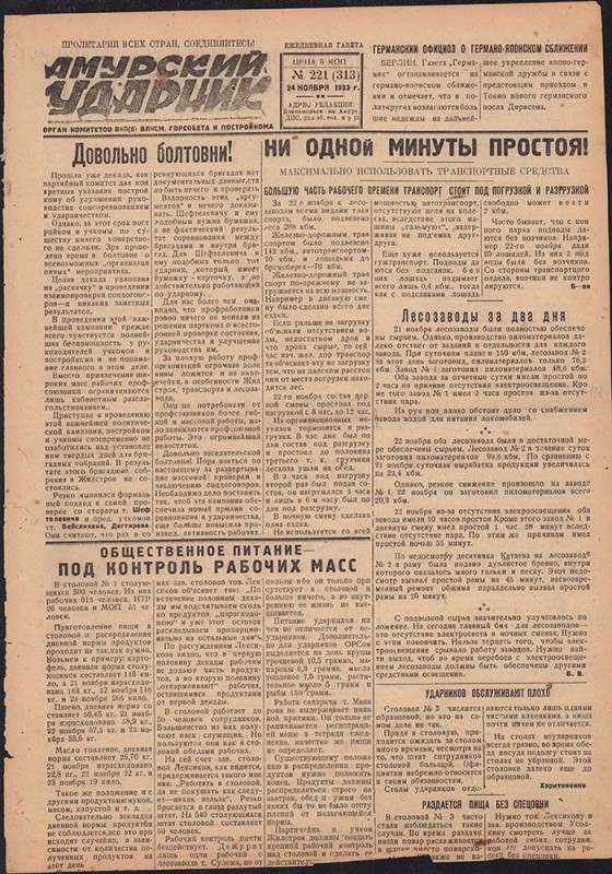 Амурский ударник 313