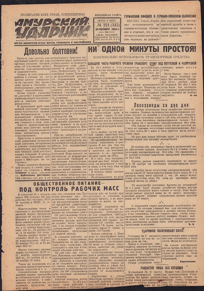 Амурский ударник 313