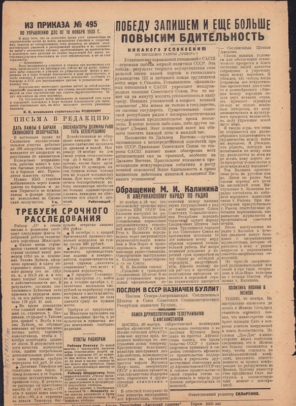Амурский ударник 313