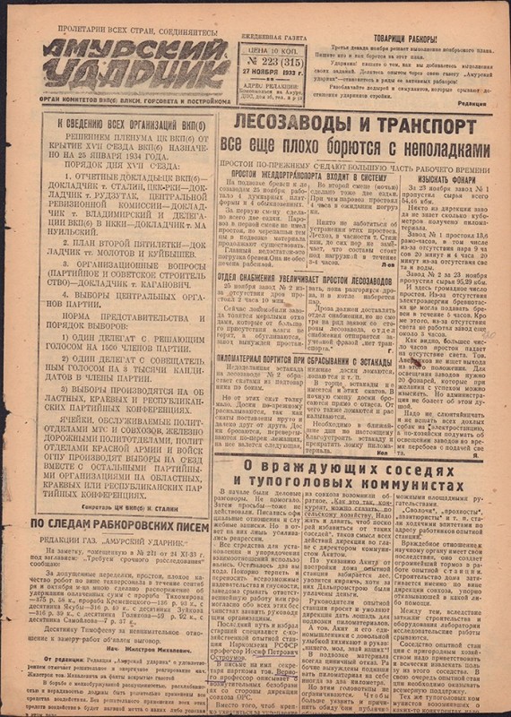 Амурский ударник 315