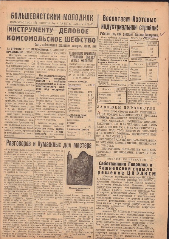 Амурский ударник 315