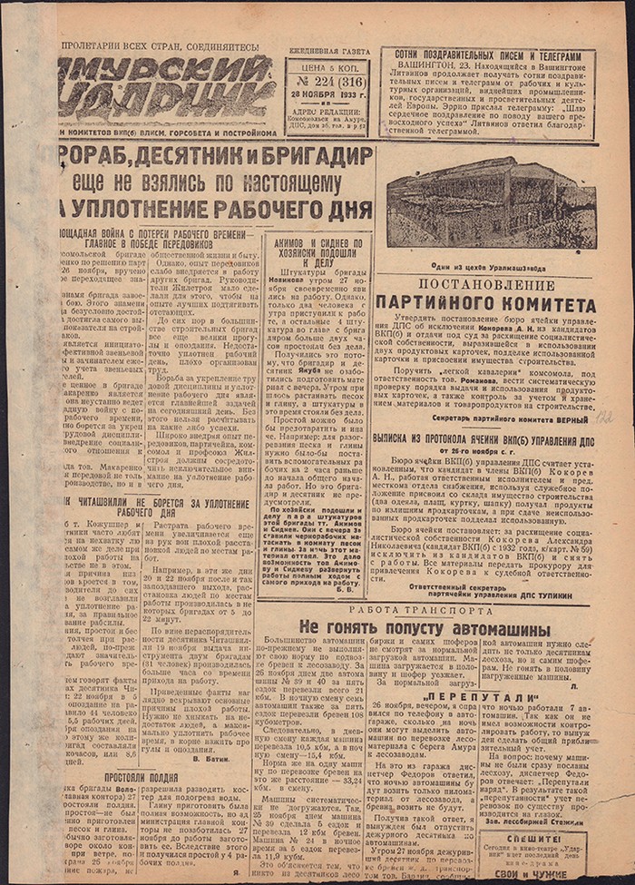 Амурский ударник 316