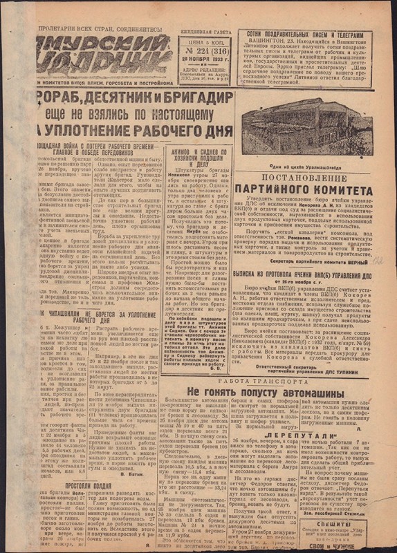 Амурский ударник 316