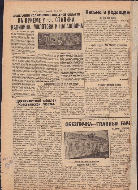 Амурский ударник 316