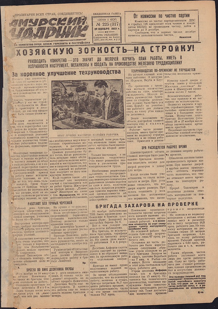 Амурский ударник 317