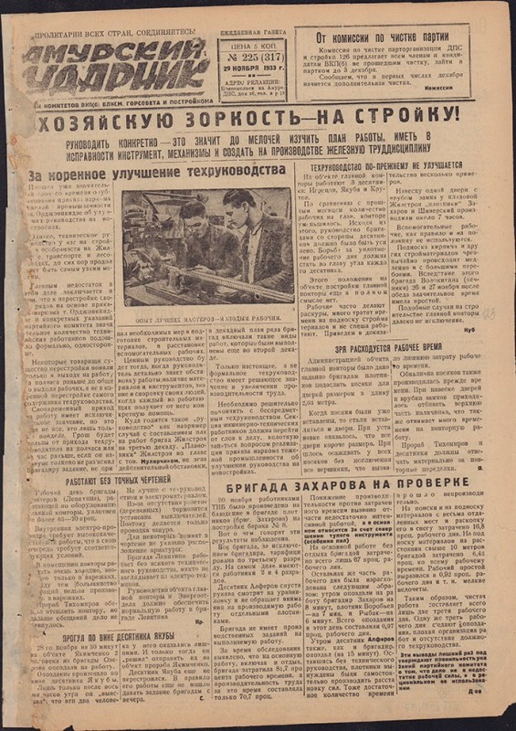 Амурский ударник 317