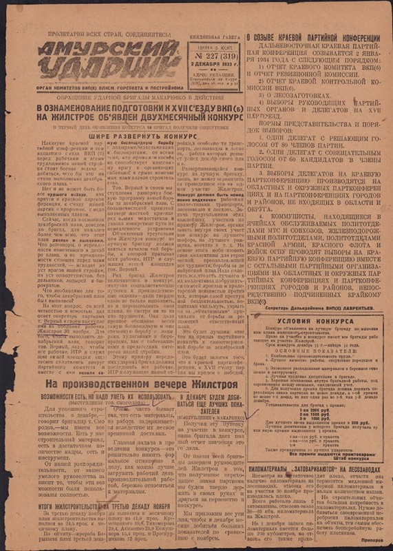 Амурский ударник 319