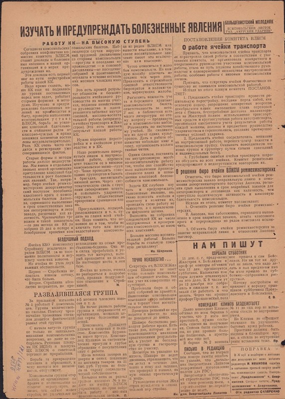 Амурский ударник 331