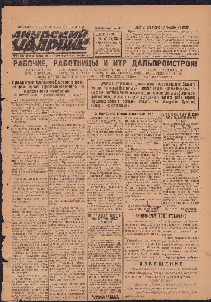 Амурский ударник 333