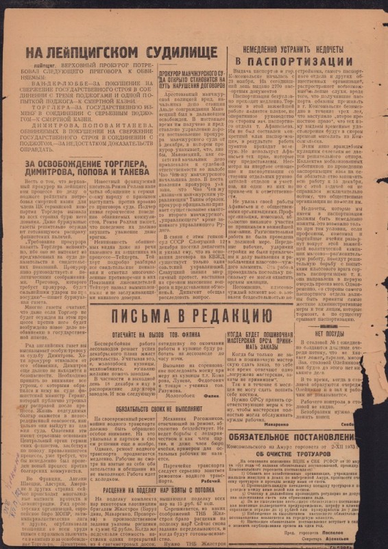 Амурский ударник 333