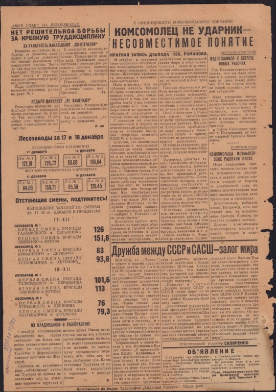 Амурский ударник 333