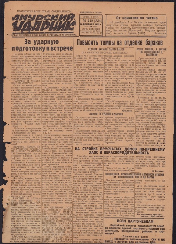 Амурский ударник 334