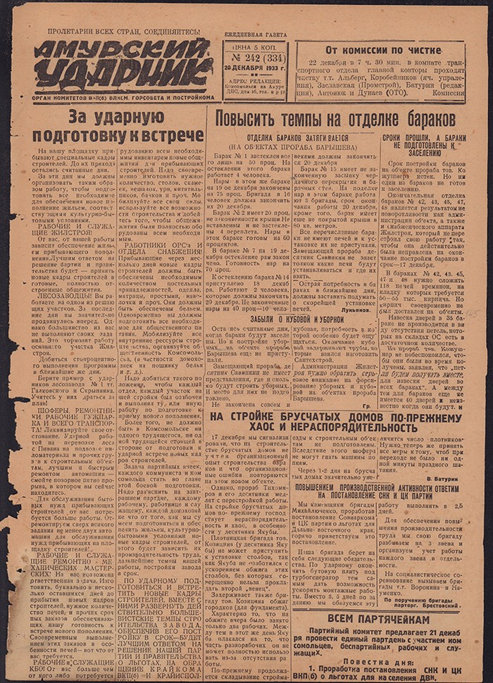 Амурский ударник 334