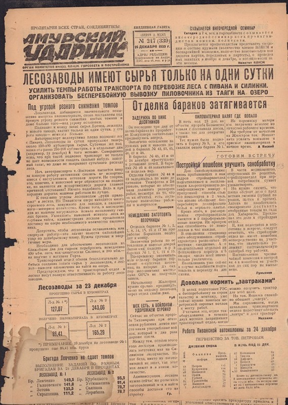 Амурский ударник 339