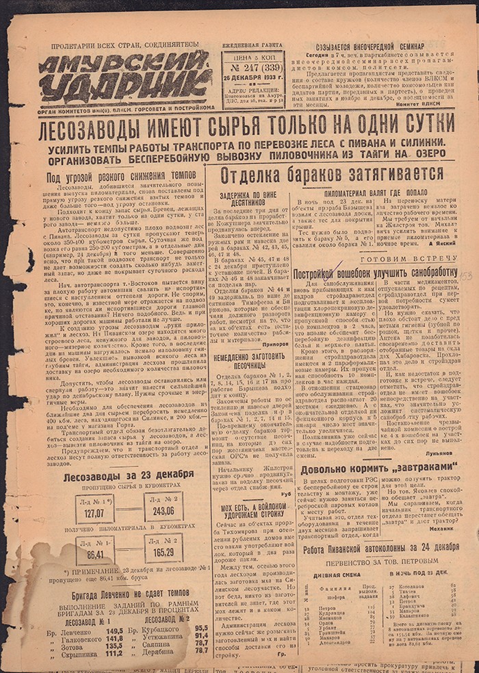 Амурский ударник 339