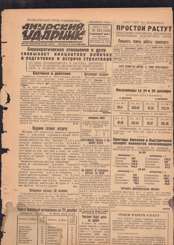 Амурский ударник 340