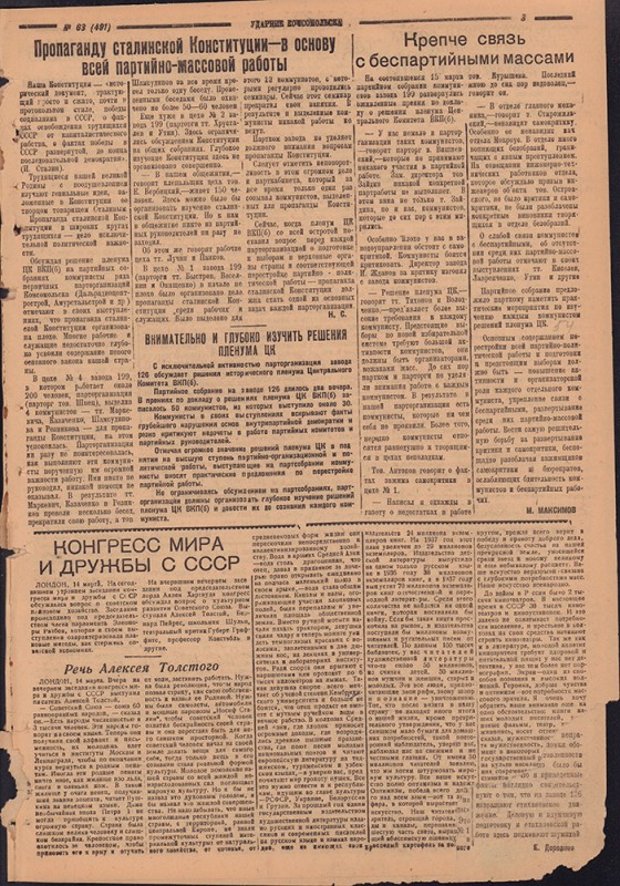 Ударник Комсомольска 491
