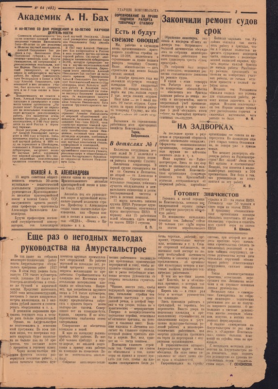 Ударник Комсомольска 492
