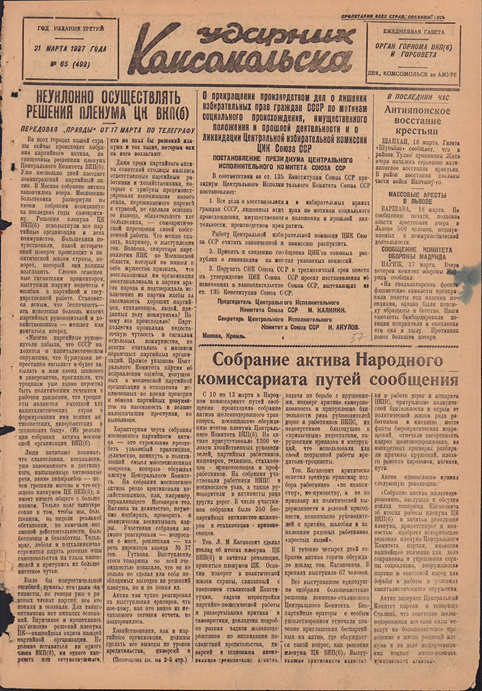 Ударник Комсомольска 493