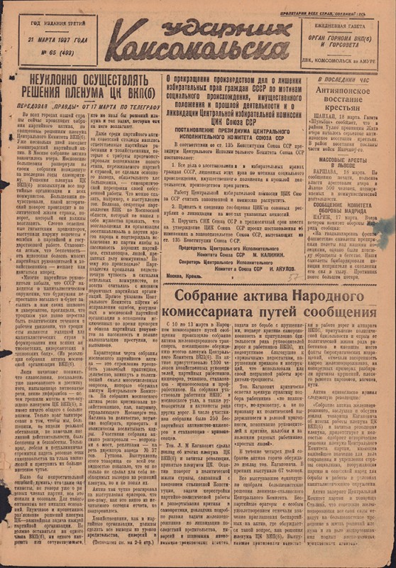 Ударник Комсомольска 493