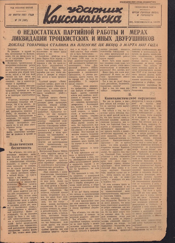 Ударник Комсомольска 501