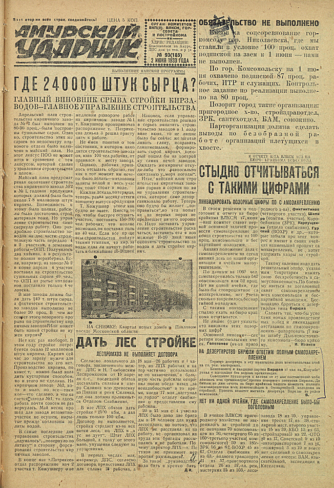 Амурский ударник 185